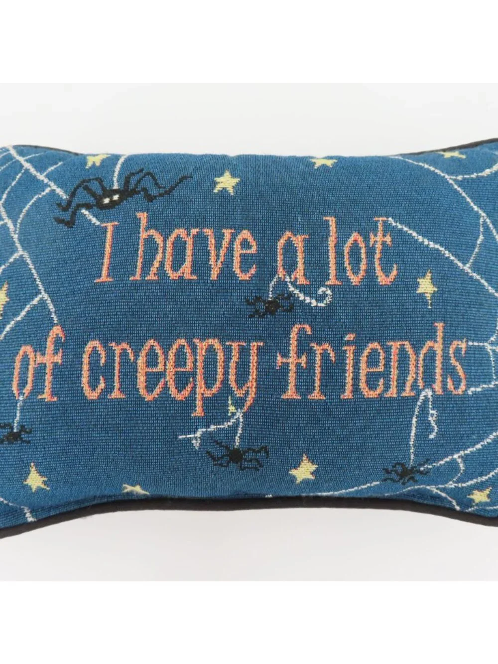 I Have A Lot Of Creepy Friends Cobweb Spider Halloween Spooky Accent Pillow